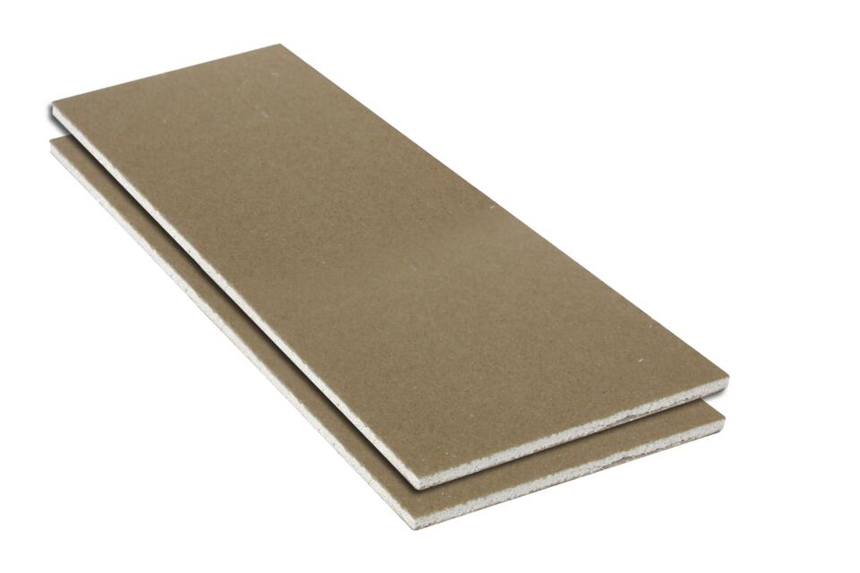 Gyproc RhinoBoard®